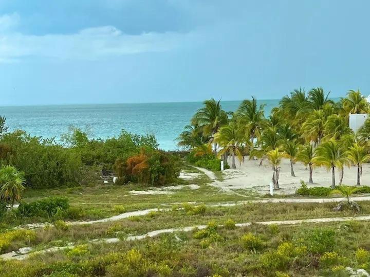 Holbox Te Quiero Luxury Suites Εξωτερικό φωτογραφία